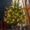 Pre-Lit Potted Dwarf Fir Christmas Tree, 3 Ft
