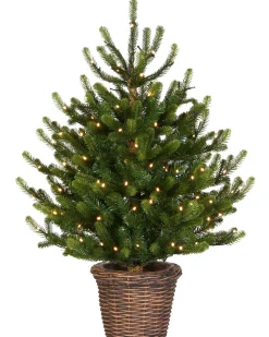 Pre-Lit Potted Dwarf Fir Christmas Tree, 3 Ft