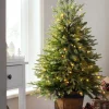 Pre-Lit Potted Pine Christmas Tree, 4 Ft