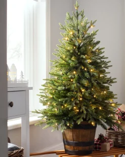 Pre-Lit Potted Pine Christmas Tree, 4 Ft