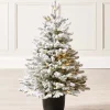 Pre-Lit Snow Flocked Potted Christmas Tree, 3 Ft