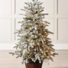 Pre-Lit Snow Flocked Potted Christmas Tree, 4 Ft