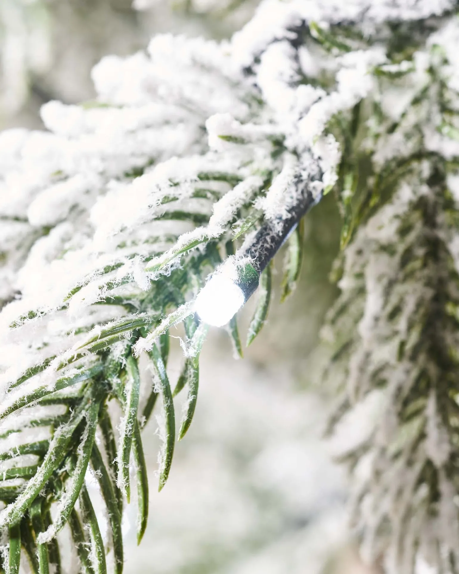 Pre-Lit Snow Flocked Potted Christmas Tree, 4 Ft