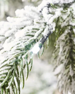Pre-Lit Snow Flocked Potted Christmas Tree, 4 Ft