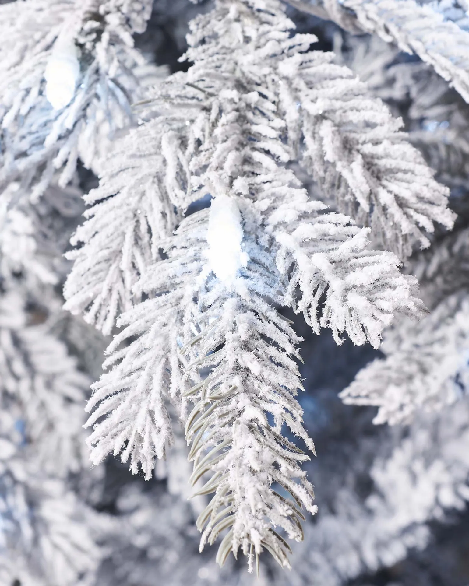 Pre-Lit Snow Flocked Spruce Christmas Tree, 7 Ft