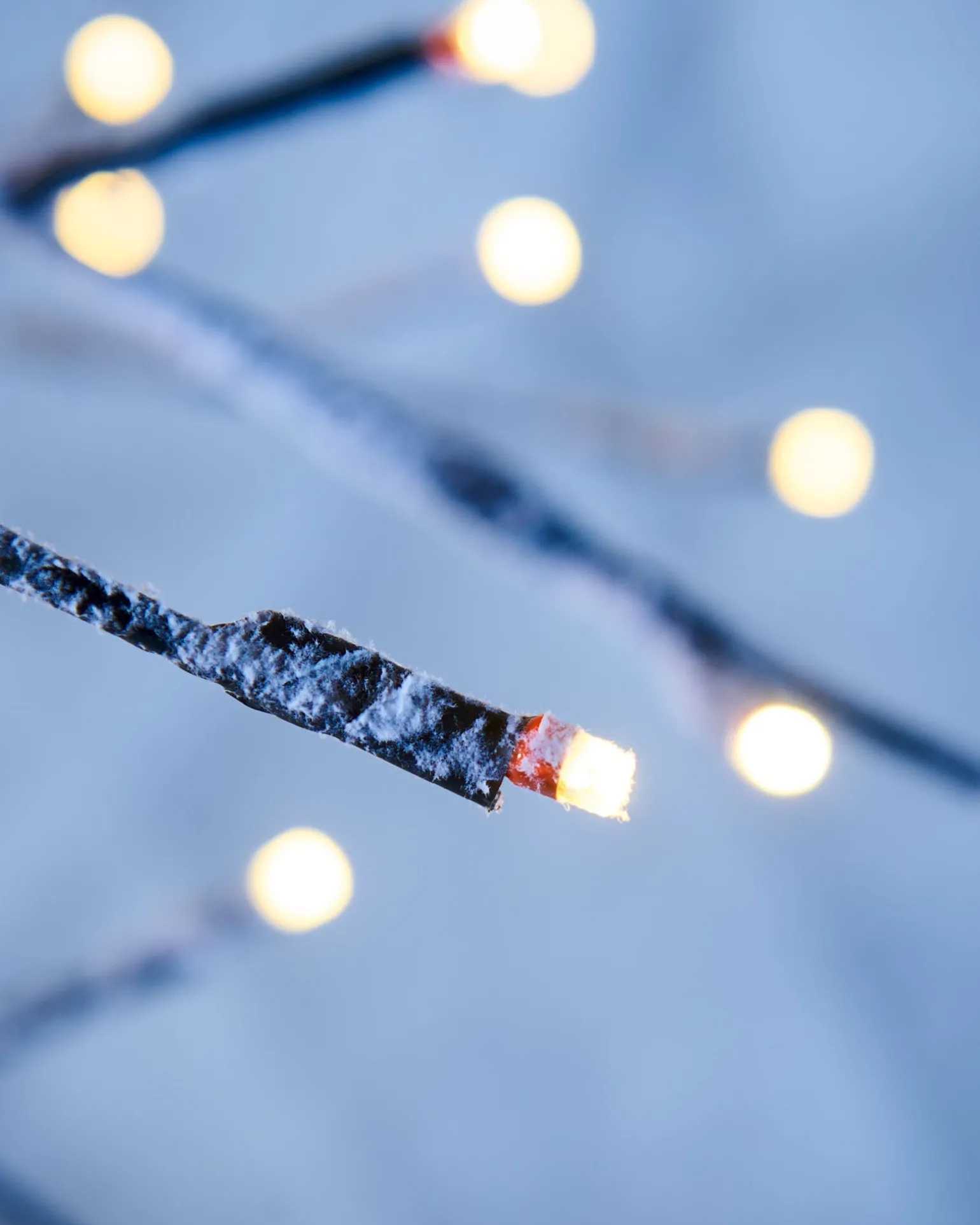 Pre-Lit Snow Flocked Twig Tree, 4 Ft