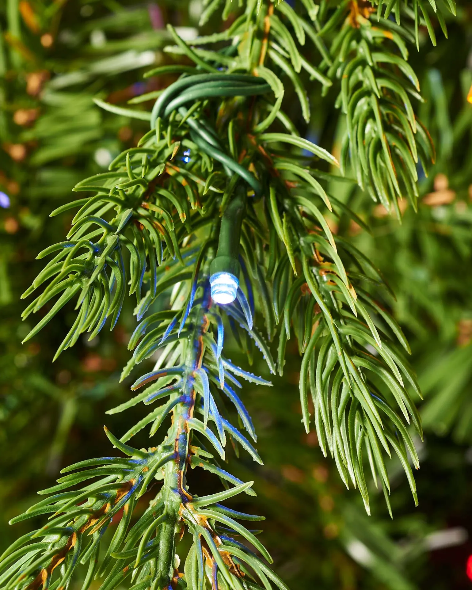 Pre-Lit Windsor Fir Christmas Tree, Dual Warm White, 6 Ft