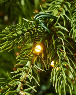 Pre-Lit Windsor Fir Christmas Tree, Dual Multi Colour, 7 Ft