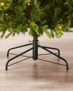 Pre-Lit Windsor Fir Christmas Tree, Dual Multi Colour, 8 Ft