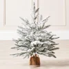 Snow Flocked Potted Christmas Tree, 2 Ft