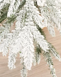 Snow Flocked Potted Christmas Tree, 2 Ft