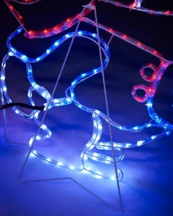 Snowman With Fire Rope Light